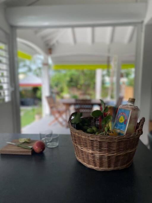 Malanga, Coin De Paradis ! Saint-Francois (Grande-Terre)