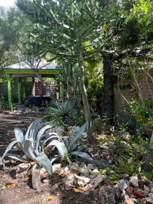 Holiday home Malanga, Coin De Paradis ! Saint-Francois (Grande-Terre)