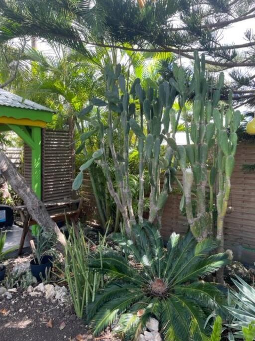 Holiday home Malanga, Coin De Paradis ! Saint-Francois (Grande-Terre)
